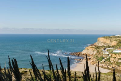 /international/pt/praceta-dos-matinhos-santo-isidoro-portugal-santo-isidoro-lisbon-310106459825/