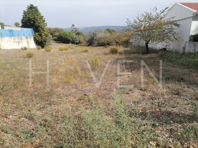 /international/pt/turquel-leiria-310099846992/