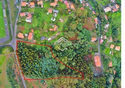 /international/pt/santa-cruz-setubal-municipality-310099685964/