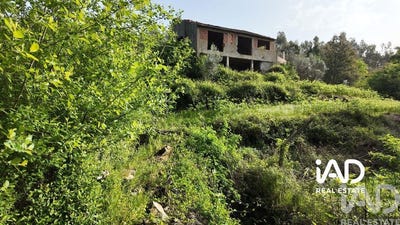 /international/pt/leiria-leiria-310107235215/?lang=pt