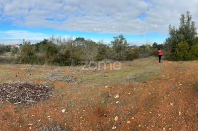 /international/pt/santarem-santarem-310104889581/