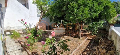 /international/pt/pinhal-novo-setubal-municipality-310101082128/