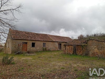/international/pt/castelo-branco-braganca-310104918842/