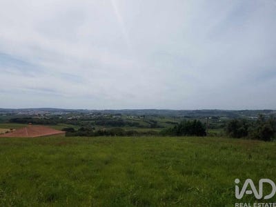 /international/pt/carvalhal-leiria-310102183191/