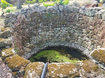 /international/pt/valdosinho-lousa-ctb-escalos-de-cima-castelo-branco-310105189189/?lang=de