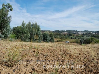 /international/pt/sao-pedro-de-tomar-santarem-310103136034/