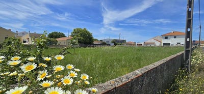 /international/pt/rua-dos-tanais-sao-joao-das-lampas-portugal-sao-joao-das-lampas-lisbon-310108402213/