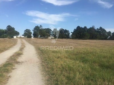 /international/pt/samora-correia-benavente-santarem-120051391601/?lang=zh-tw