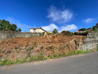 /international/pt/estreito-da-calheta-madeira-310107412237/