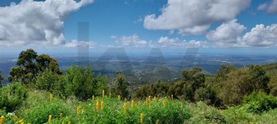 /international/pt/monchique-faro-120093121919/