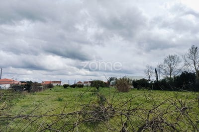 /international/pt/grandola-setubal-municipality-310100103444/?lang=en