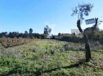 /international/pt/valongo-do-vouga-agueda-aveiro-310097767383/?lang=zh-tw