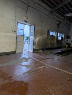 /international/pt/mora-mora-braganca-310106823294/