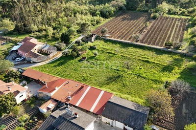 /international/pt/cantanhede-coimbra-310101277149/