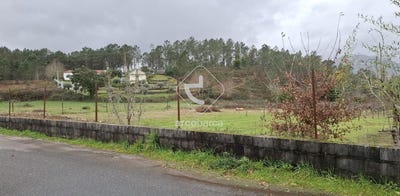 /international/pt/ponte-de-lima-viana-do-castelo-310106051140/