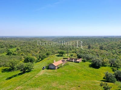 /international/pt/sao-francisco-da-serra-setubal-municipality-310108652729/