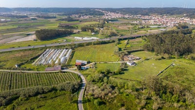 /international/pt/obidos-santa-maria-leiria-310107500385/