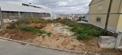 /international/pt/setubal-sao-juliao-setubal-municipality-310100664252/
