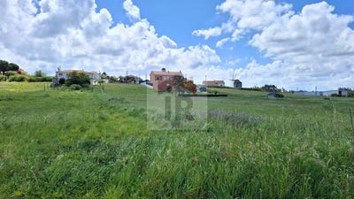 /international/pt/caldas-da-rainha-leiria-310108004652/