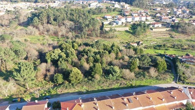 /international/pt/varzea-castelo-branco-310100662497/