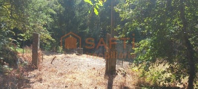 /international/pt/friestas-viana-do-castelo-310101877553/