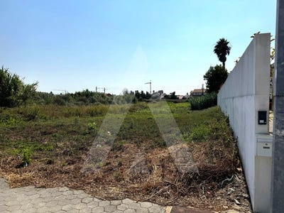 /international/pt/sao-bernardo-aveiro-310101512560/