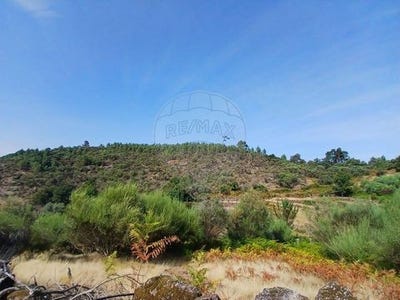 /international/pt/arcos-de-valdevez-viana-do-castelo-310106287723/
