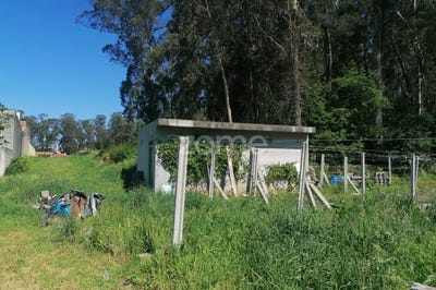 /international/pt/vila-nova-de-famalicao-braga-120091622294/?lang=zh-tw