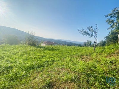 /international/pt/cornes-viana-do-castelo-310101862499/