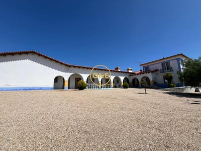 /international/pt/raposa-viana-do-castelo-310105338549/