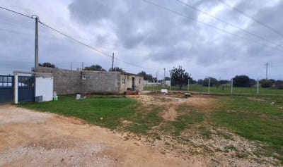 /international/pt/tunes-portugal-algoz-faro-310106423476/