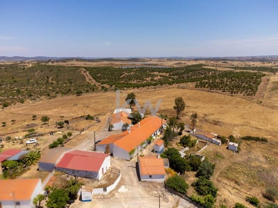 /international/pt/sao-miguel-do-pinheiro-beja-310107943425/
