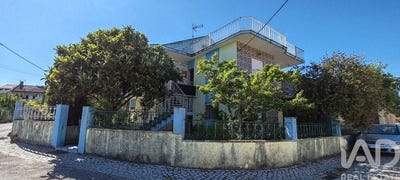 /international/pt/ansiao-leiria-310101187784/