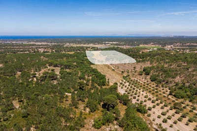 /international/pt/melides-setubal-municipality-310099811962/