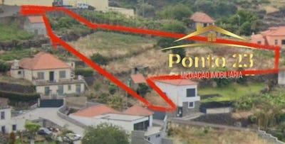 /international/pt/ilha-da-madeira-madeira-310109105896/