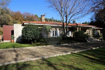 /international/pt/guimaraes-braga-310102317237/