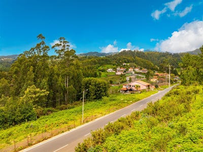 /international/pt/gaula-madeira-310102373134/