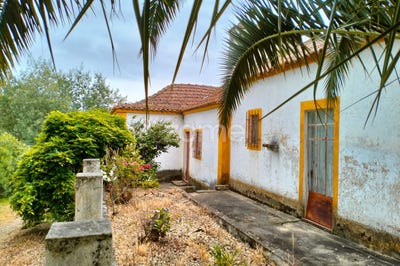 /international/pt/abrantes-santarem-310099708921/