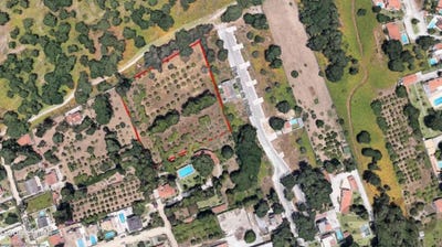 /international/pt/sesimbra-castelo-setubal-municipality-310100701449/