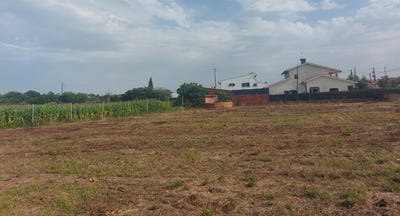 /international/pt/oliveira-do-bairro-aveiro-310109200748/