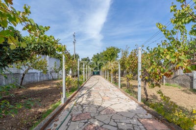 /international/pt/sintra-lisbon-310106419069/
