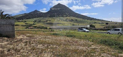 /international/pt/porto-santo-island-madeira-310108596614/