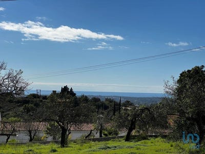 /international/pt/faro-faro-310095830073/