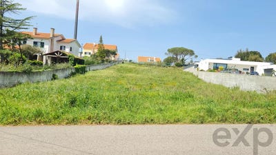 /international/pt/rua-do-alto-nobre-nadadouro-leiria-310107557390/