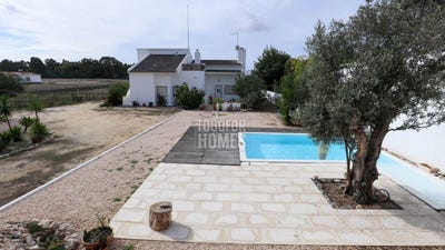 /international/pt/longueira-almograve-beja-310104087481/