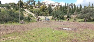 /international/pt/loule-faro-310108283720/