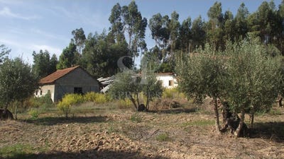 /international/pt/alcanede-santarem-310108967529/