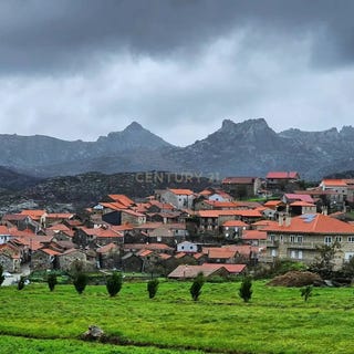 /international/pt/pitoes-das-junias-portugal-pitoes-das-junias-vila-real-310104061450/