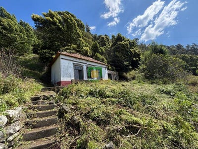 /international/pt/ribeira-brava-madeira-310107026022/