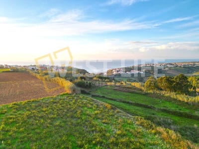 /international/pt/santo-isidoro-lisbon-310108453373/